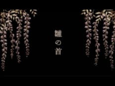 雛の首