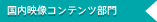 国内映像コンテンツ部門