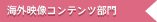 海外映像コンテンツ部門