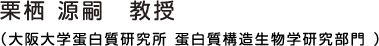 栗栖 源嗣 教授（大阪大学蛋白質研究所 蛋白質構造生物学研究部門）