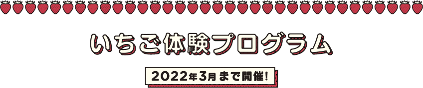 いちご体験プログラム　2022年3月まで開催