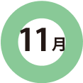 11月