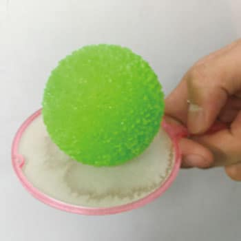 スーパーボールすくいでふしぎ発見